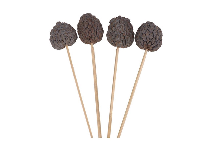 Pick Nature Ata Fruit Naturel P/30