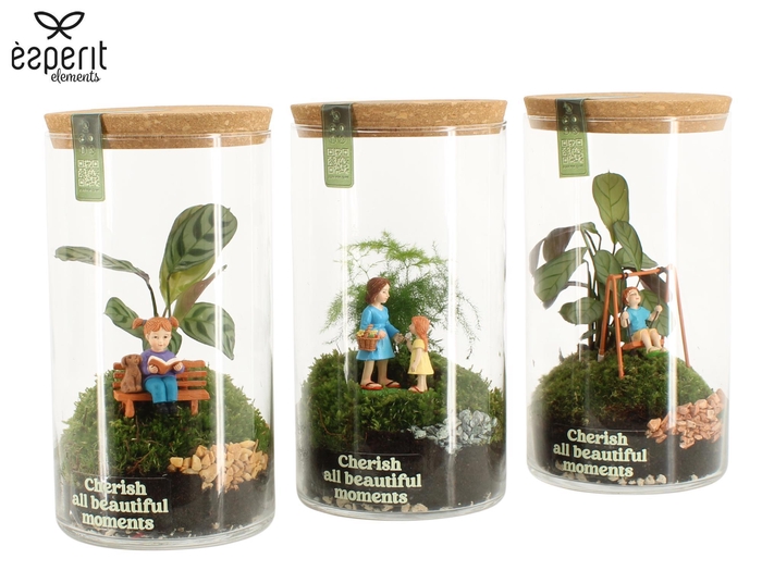 <h4>90977: Little Green Moments Terrarium</h4>