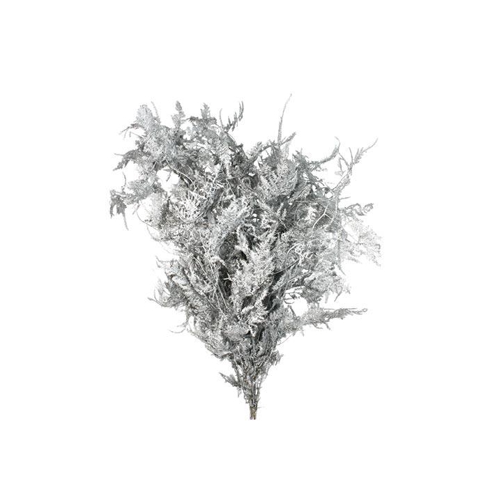 <h4>Bunch Asparagus 10pcs Pres.Slv L80</h4>