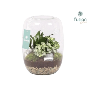 Green Bottle Isabella Large met Groene Planten Arrangement