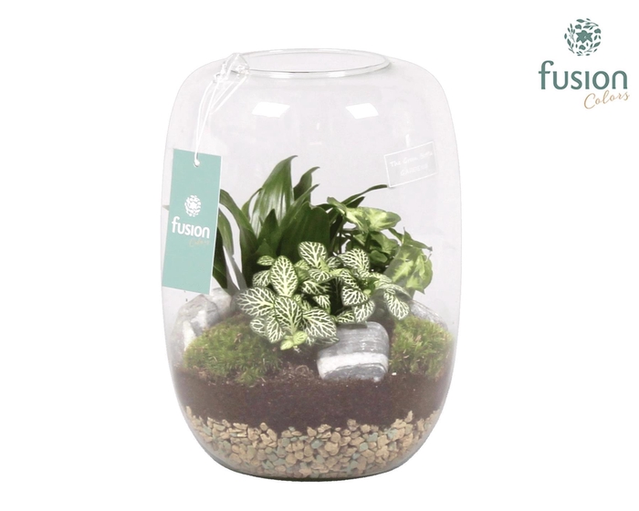 <h4>Green Bottle Isabella Large met Groene Planten Arrangement</h4>