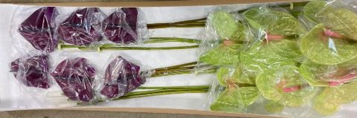 <h4>Anthurium andr. ...mix</h4>