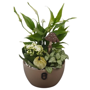 Arr.   Planten L%