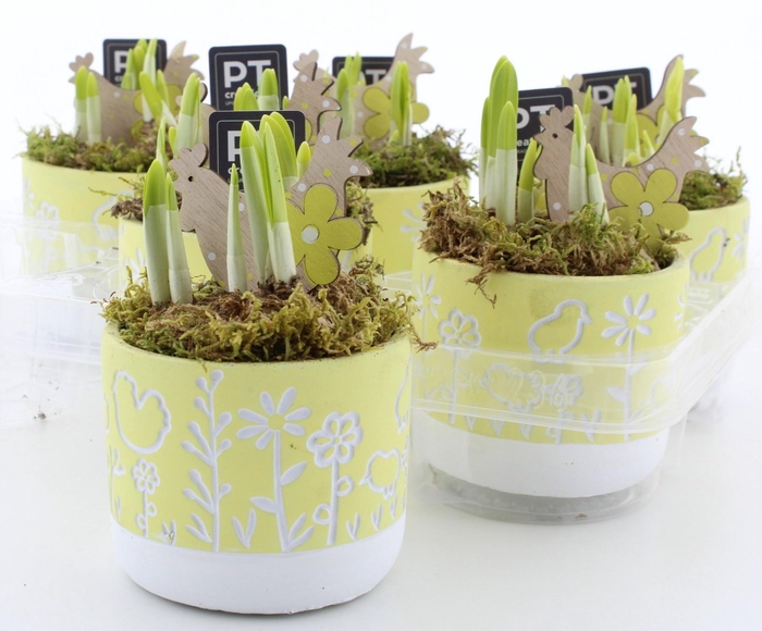 <h4>ARR N TETE A TETE</h4>