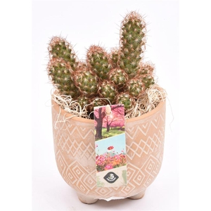 Cement met motief op pootjes 11,5cm