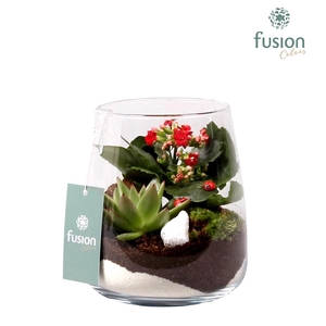 Glas Alzada met arrangement en lieveheersbeestjes
