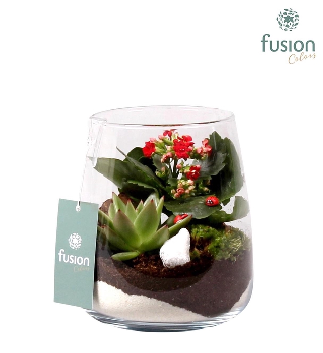 <h4>Glas Alzada met arrangement en lieveheersbeestjes</h4>