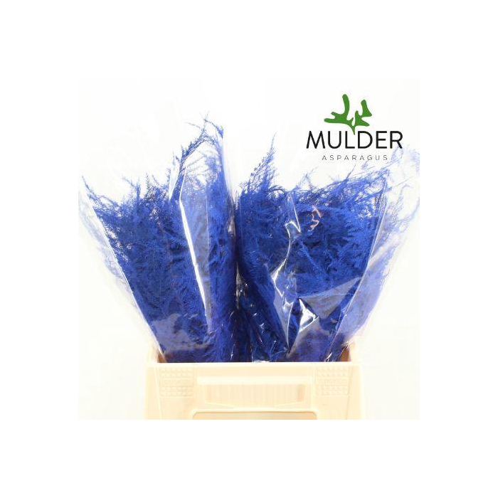 <h4>ASP OV KLB H%</h4>