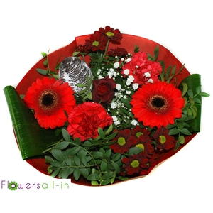 P202307 Rood