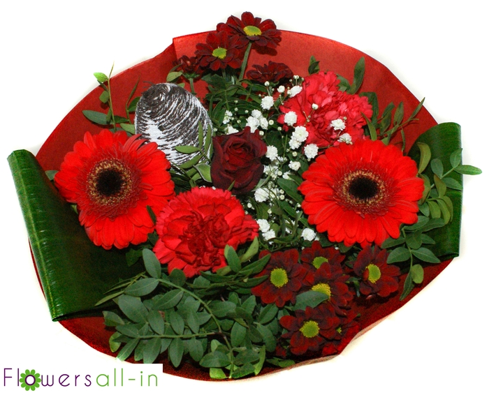 <h4>P202307 Rood</h4>