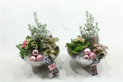 <h4>3525 ROZE GLAS 23</h4>