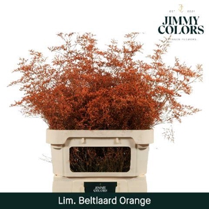 Lim Bel L90 Orange