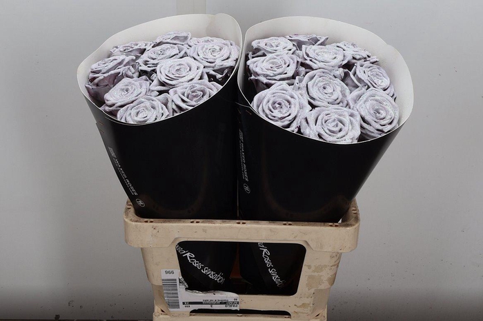 <h4>R Wx (rn) Wit Glitter</h4>