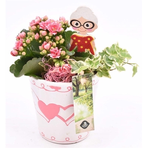 Keramiek pot met hart decor 11CM