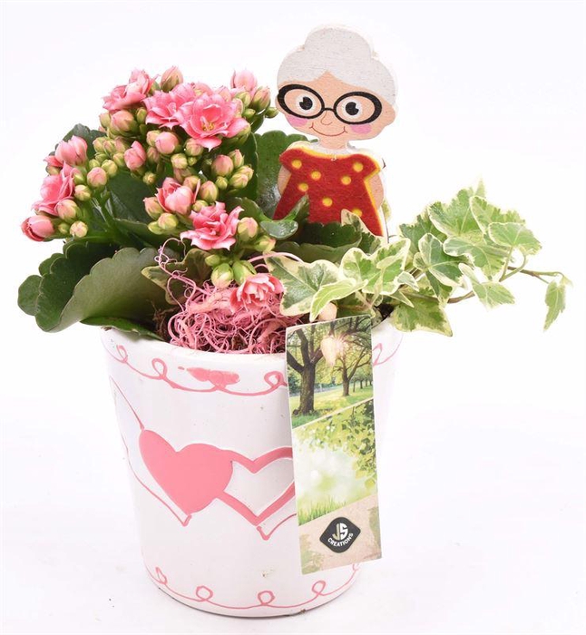 <h4>Keramiek pot met hart decor 11CM</h4>