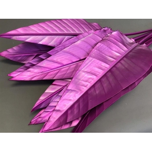 Strelitzia Blad Painted Cerise