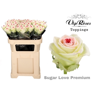 R GR SUGAR LOVE PREMIUM 997