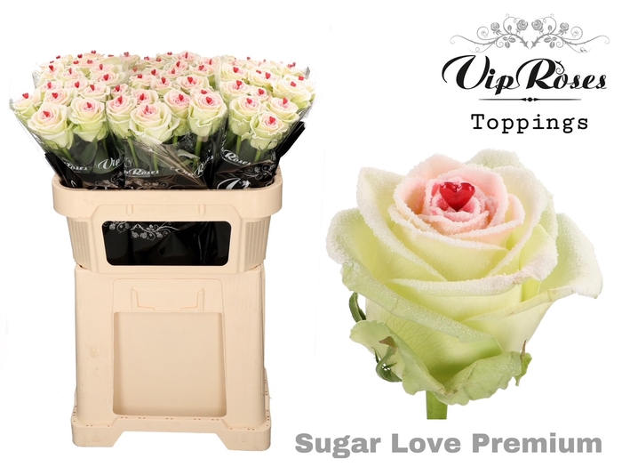 <h4>R GR SUGAR LOVE PREMIUM</h4>