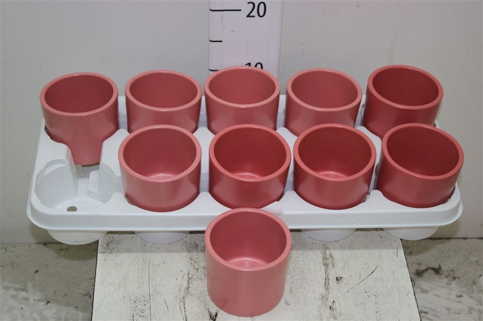 <h4>Deco Stone Pot Coral</h4>