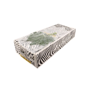 Aralia Medium V P X 5 Mayikal