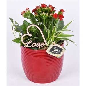 Keramiek ribbelpot enhart rood 13cm