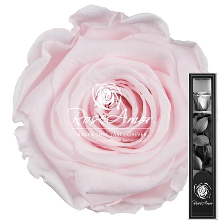 <h4>30cm Stem Pin89</h4>