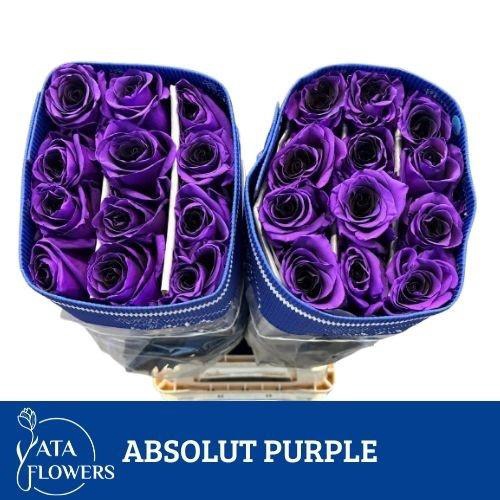 <h4>R GR OV KLB H%</h4>