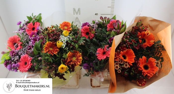 <h4>GEM BOEKET OV</h4>