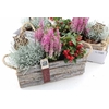Arr Tuinplanten In Houtschors Bakje