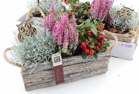 Arr Tuinplanten In Houtschors Bakje