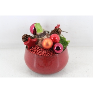 arr4 Amaryllis MB - Zink bowl rood 285/6
