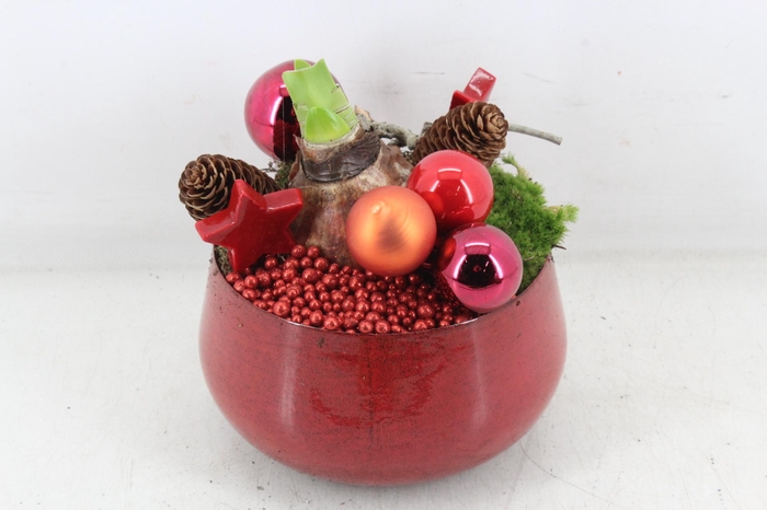 <h4>arr4 Amaryllis MB - Zink bowl rood 285/6</h4>