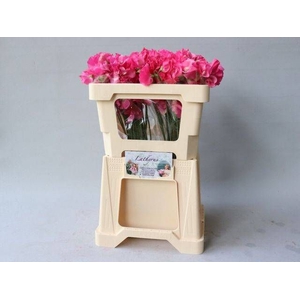 LATHYR PARFUM CORAL