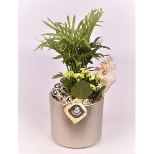 Keramiek pot champagne 14cm