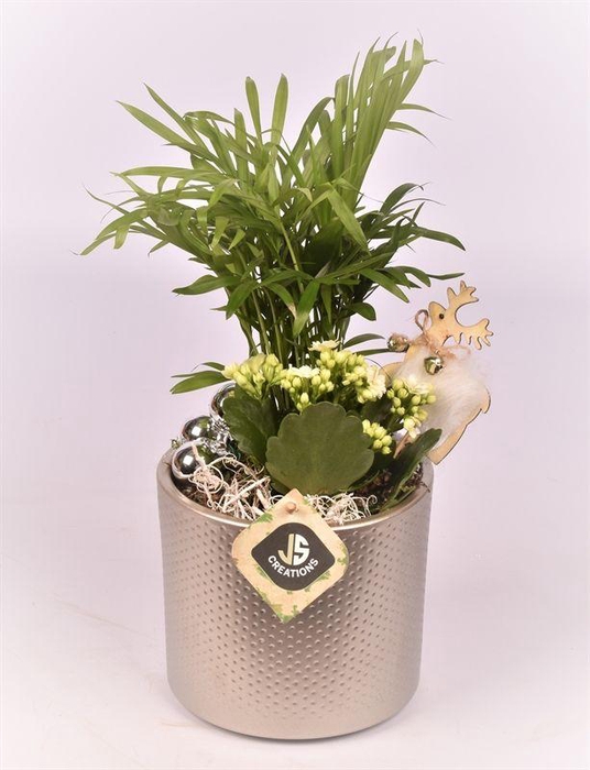 <h4>Keramiek pot champagne 14cm</h4>