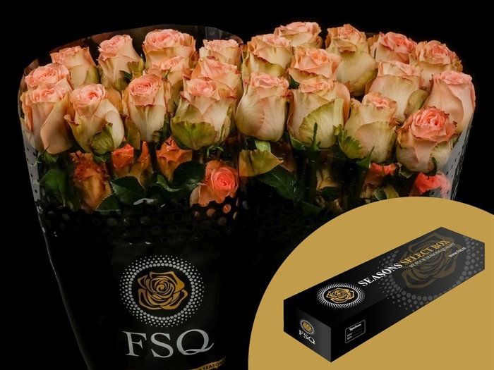 <h4>R GR Country Home Box</h4>