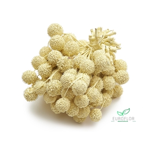 PLATAAN BALL PEARL SUNSHINE YELLOW