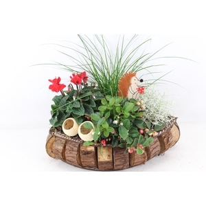 arr4 Outdoor VL - Hout blokjes bruin rood cycl
