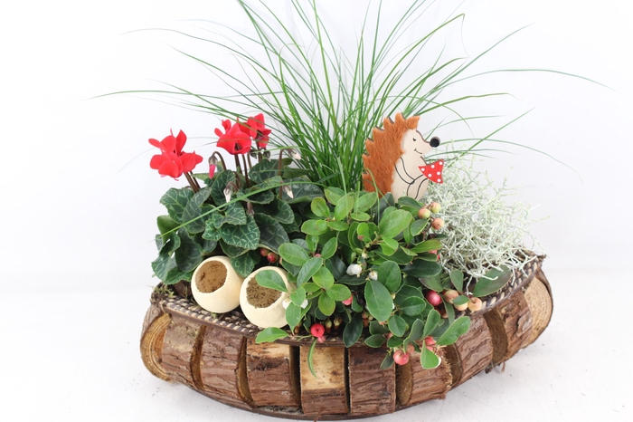 <h4>arr4 Outdoor VL - Hout blokjes bruin rood cycl</h4>