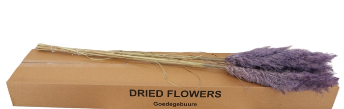 <h4>DROOGBL BEWERKT H%</h4>