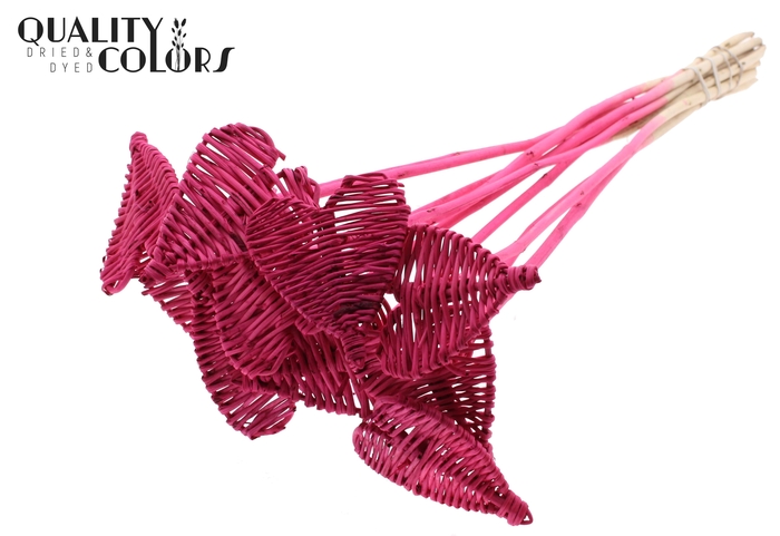 Lata Heart 8cm on stem Hat type Cerise