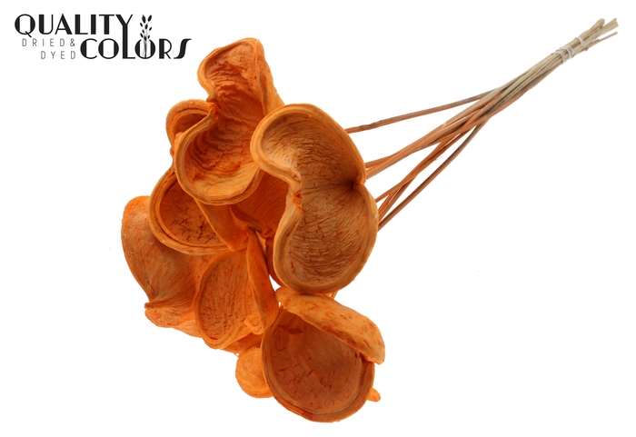 <h4>Badam On Stem Bleached Orange</h4>