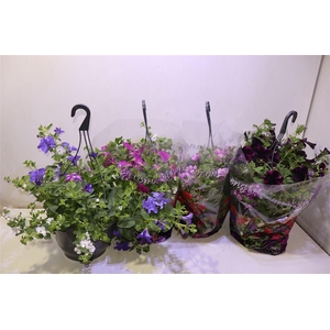 arr8 Hanging Baskets