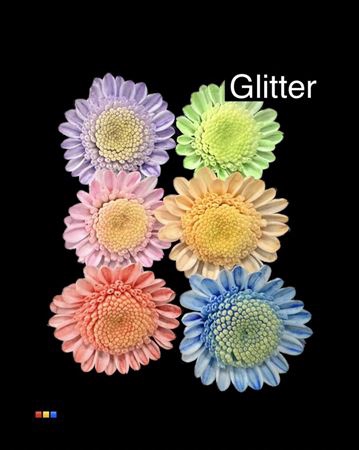 Chr T Stallion Dusty Mix 6 Colors + Glit Bio