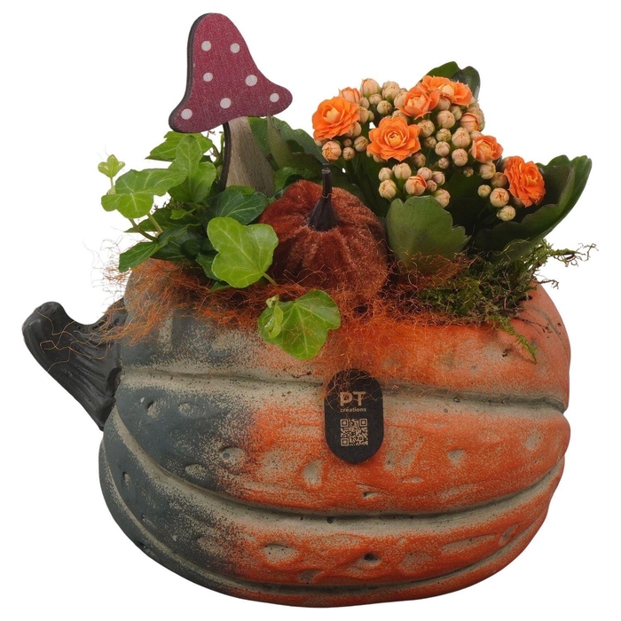 <h4>Arr. Planten L%</h4>