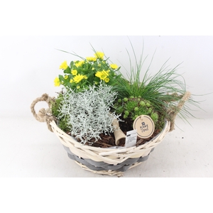 arr4 Outdoor PL - Mand pioni XL