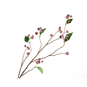 Eucalyptus Berry Pink