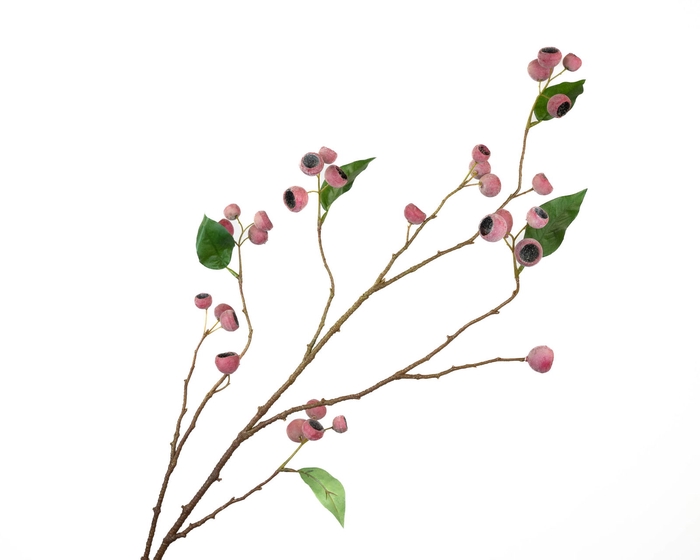 <h4>Eucalyptus Berry Pink</h4>