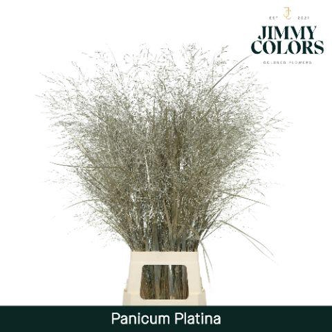 <h4>Siergras L90 Mtlc. platina</h4>