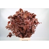 Faggio Preserved Bordeaux (beech,beuk)